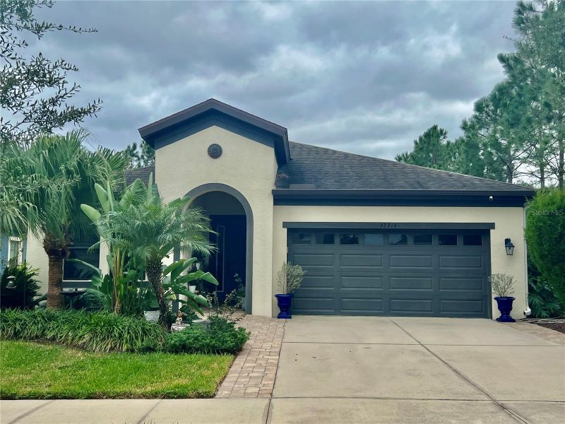 32314 Natural Bridge Rd, Wesley Chapel, FL 33543