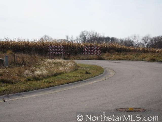 945 Meadows Blvd, Norwood Young America, MN 55397