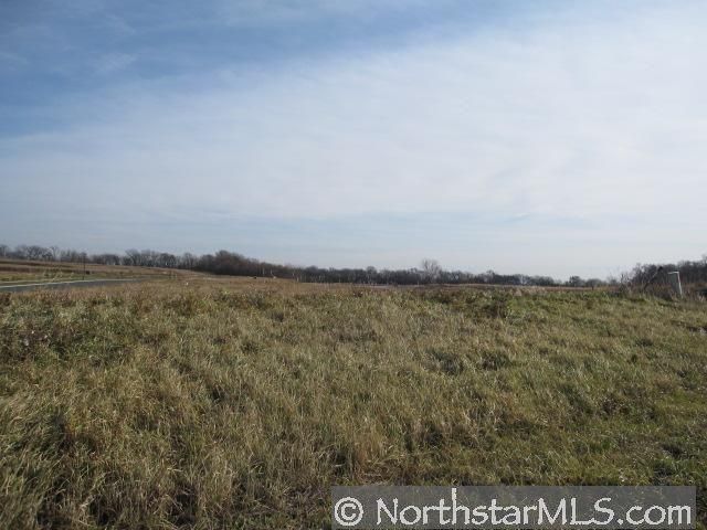 945 Meadows Blvd, Norwood Young America, MN 55397