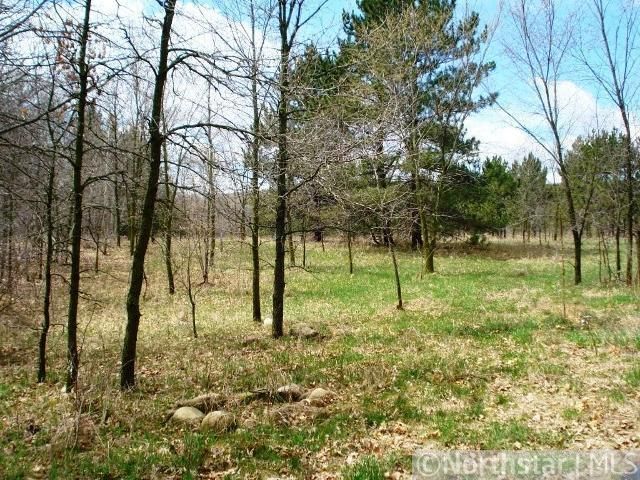 L2 B1 Flicker Rd, Burtrum, MN 56318