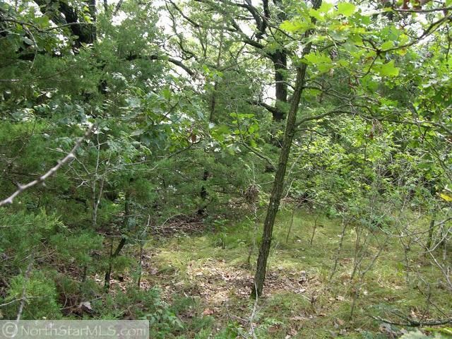 9037 155th St, Kimball, MN 55353
