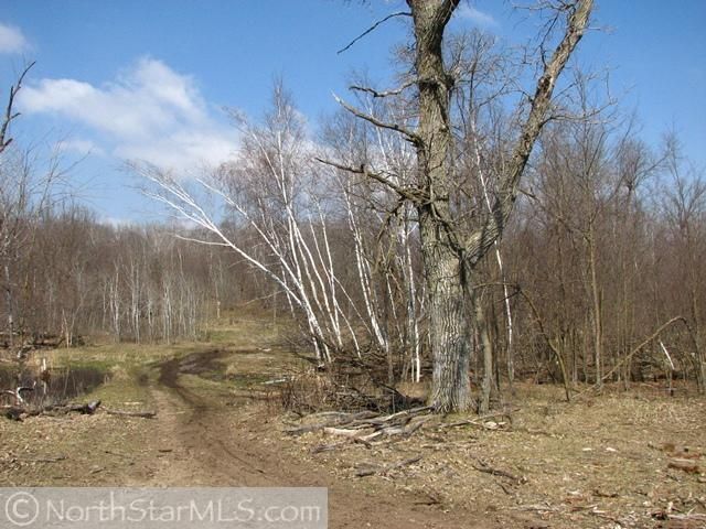 30811 Grosbeak Rd, Long Prairie, MN 56347
