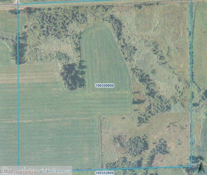 xx Hwy 238, Bowlus, MN 56314
