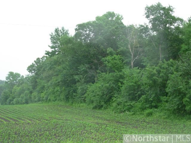 XXXX3 188th St, Belle Plaine, MN 56011