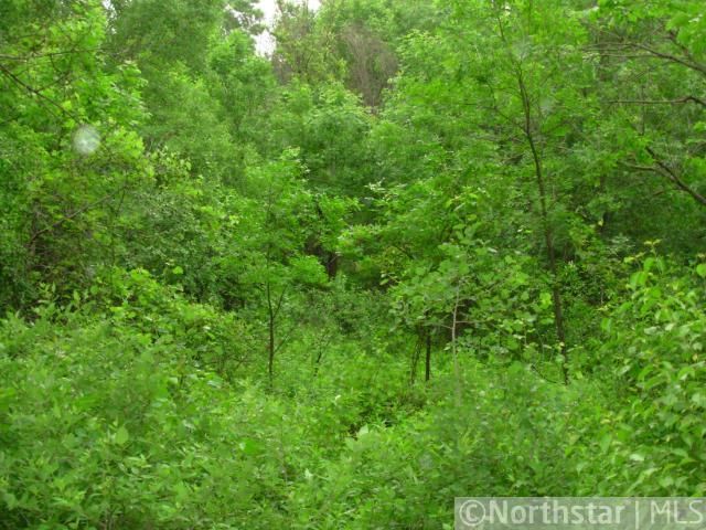 XXXX3 188th St, Belle Plaine, MN 56011