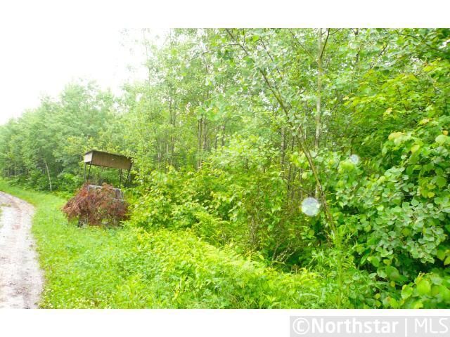 xx Forest Rd, Hibbing, MN 55747