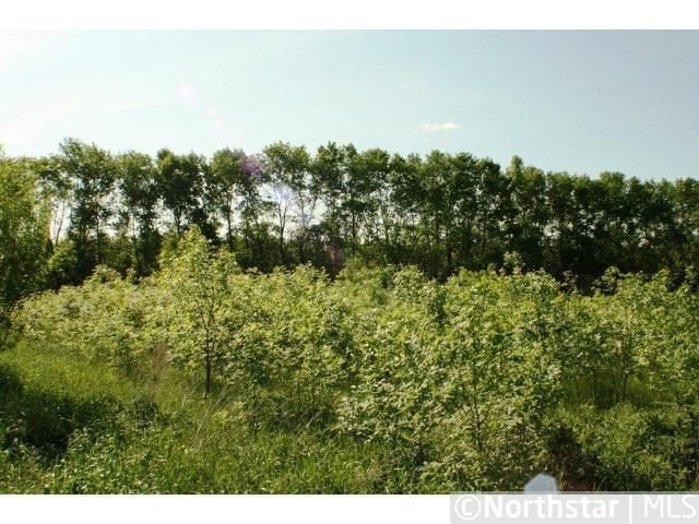 9962 352nd St, Saint Joseph, MN 56374