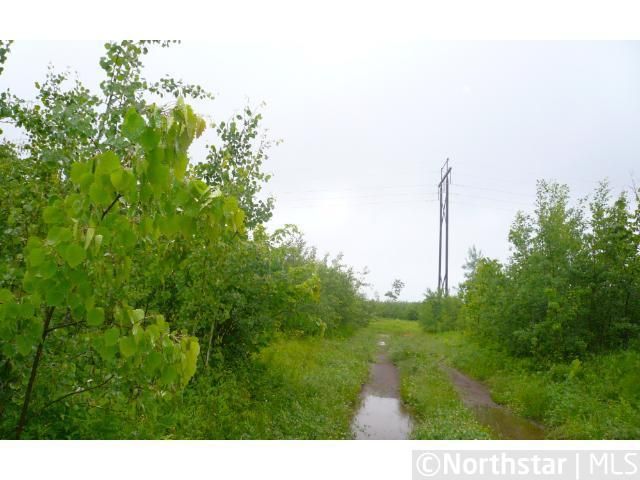 xxx Forest Rd, Canyon, MN 55717