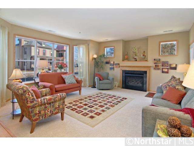 185 Hamel Rd #103, Medina, MN 55340