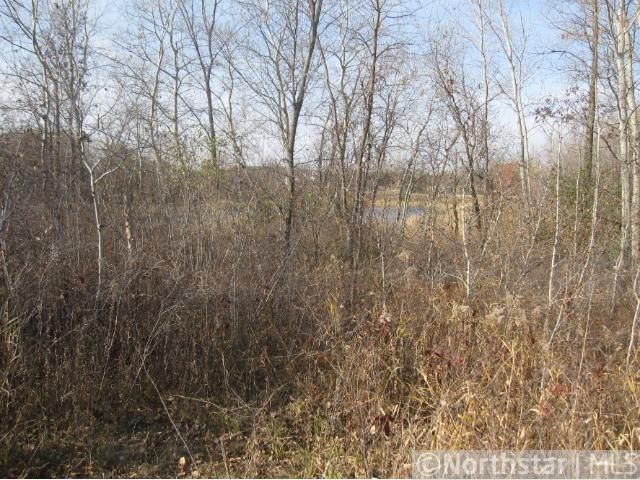 127XX Bacardi Ave, Rosemount, MN 55068