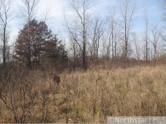 127XX Bacardi Ave, Rosemount, MN 55068