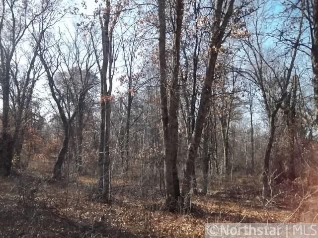XXX S River Rd, Danbury, WI 54830
