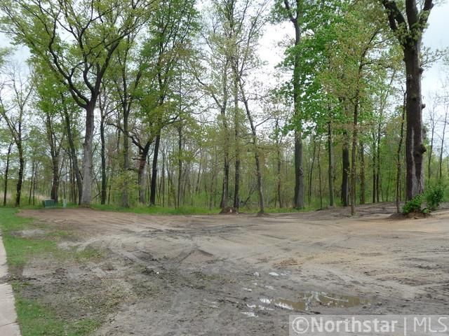 13457 Vickers St NW, Ham Lake, MN 55304