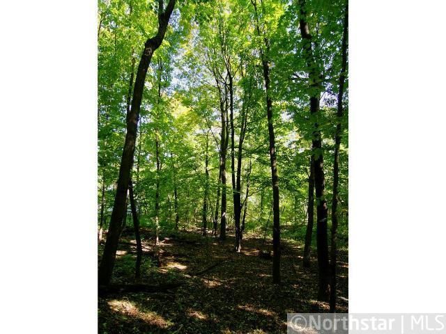 7603 Frontier Trl, Chanhassen, MN 55317