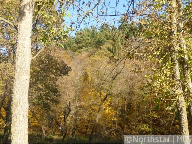 W1709 850th Ave, Spring Valley, WI 54767