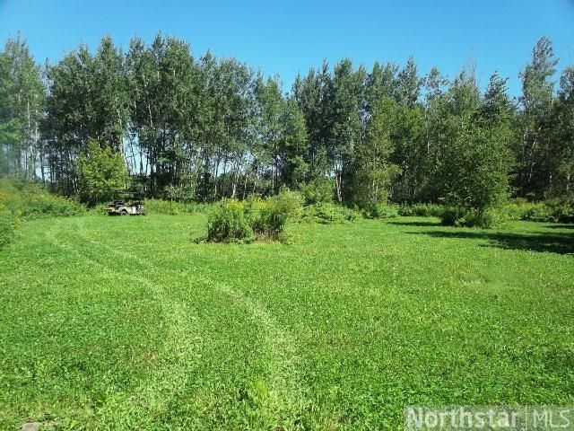 XXX 163rd St, Pierz, MN 56364