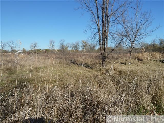 1193 Frisbie Ave, Maplewood, MN 55109