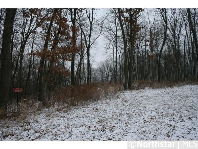 N1400 S Pepin View South Ln, Pepin, WI 54759