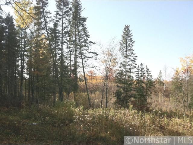 x1x Hwy 53, Canyon, MN 55717