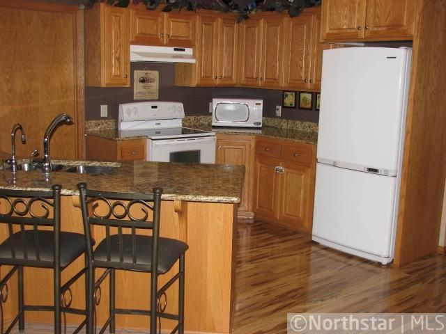 113 W Shamrock Dr, Arlington, MN 55307