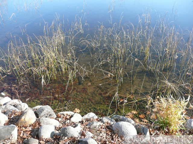 9057 Wilderness Point Rd, Brainerd, MN 56401