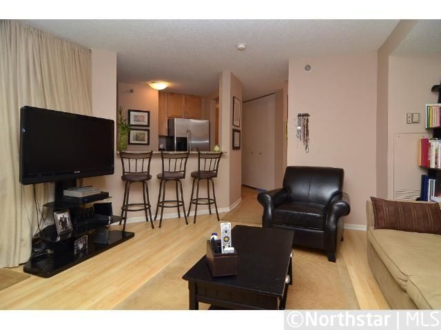 401 1st St S #101, Minneapolis, MN 55401