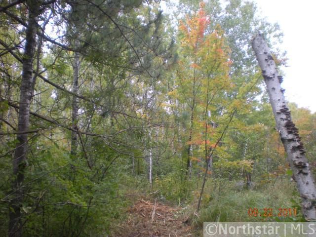 68622 Beaver Tail Rd, Askov, MN 55704