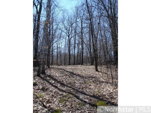 0 Lake Camile Dr, Randall, MN 56475