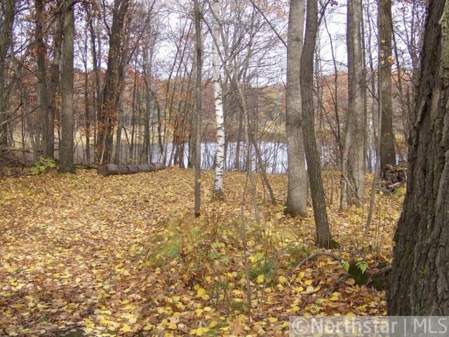 0 Lake Camile Dr, Randall, MN 56475