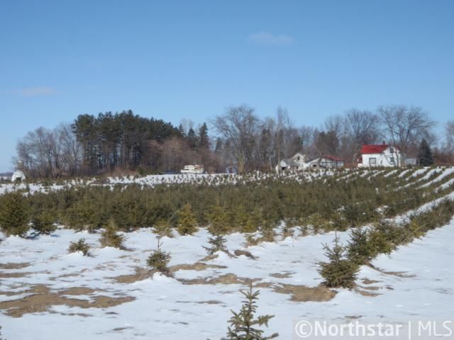 17755 25th St SW, Cokato, MN 55321