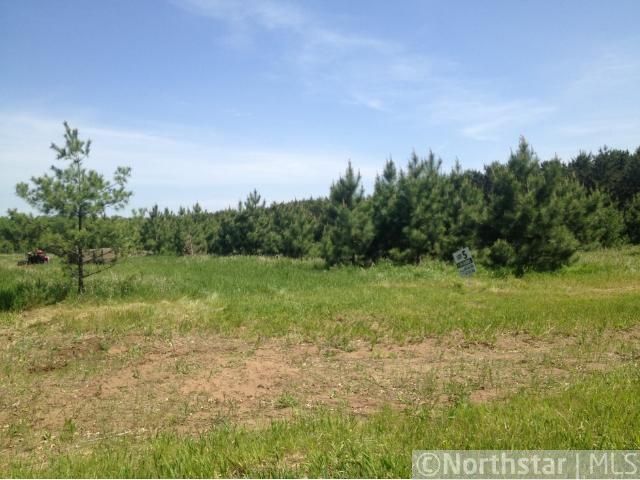 Lot 5 Thomas Dr, Little Falls, MN 56345