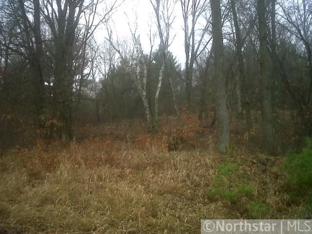 xxxxx 392nd St, Browerville, MN 56438