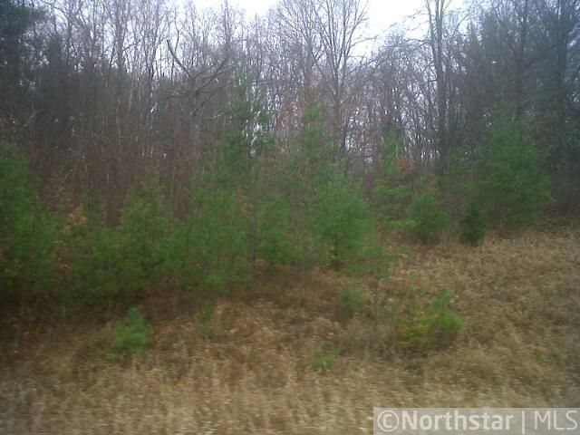 xxxxx 392nd St, Browerville, MN 56438