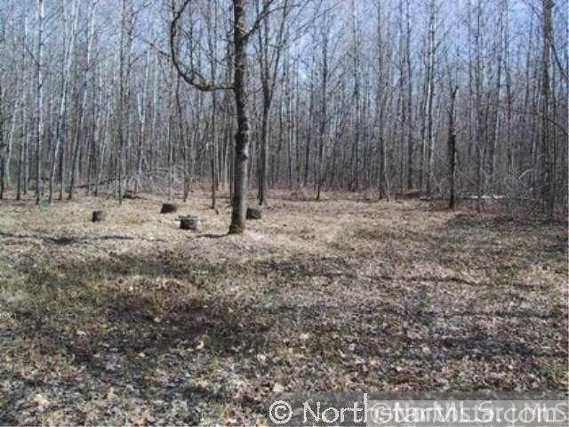 XXX White Pine Rd S, Pine City, MN 55063