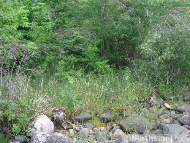 xxx Maple Leaf Dr, Walker, MN 56484