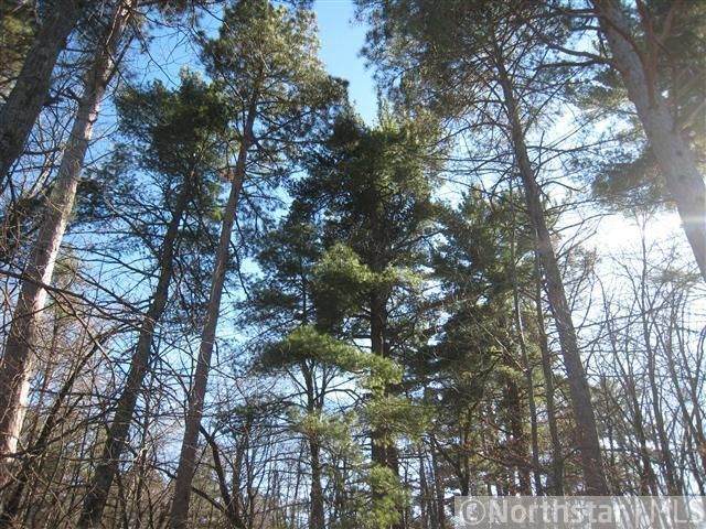 tbd Lower Ten Mile Lake Rd, Hackensack, MN 56452