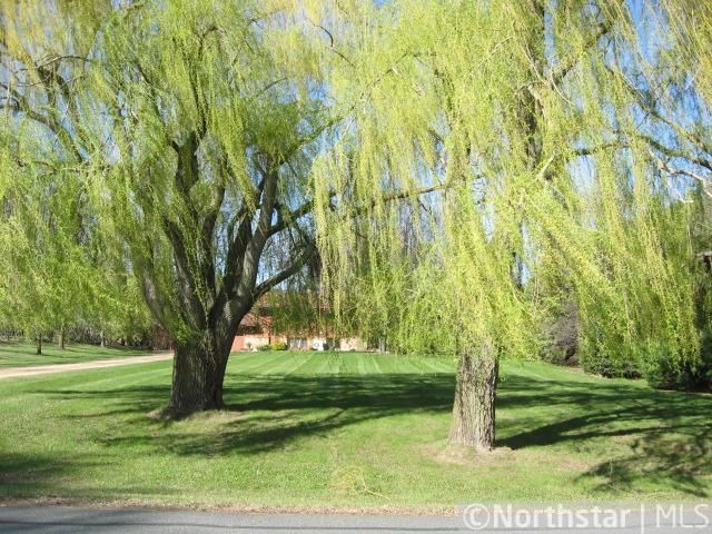 10227 Hage Dr, Rogers, MN 55374