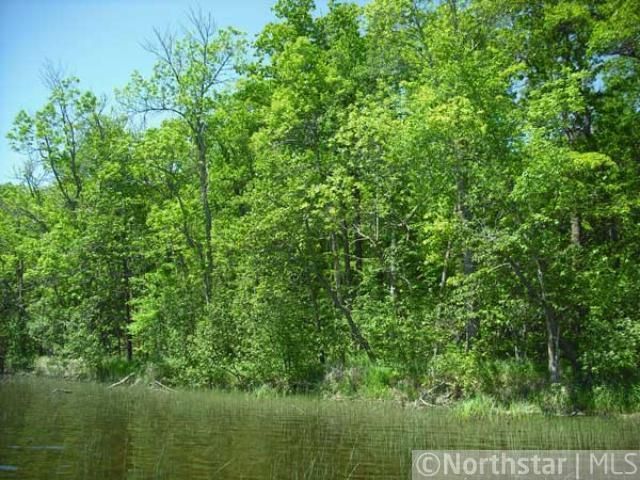 XXX Raspberry Ln, Garrison, MN 56450