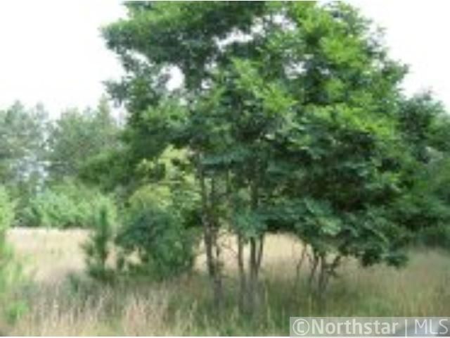 0 2 Nd & 7 Th St, Minong, WI 54859