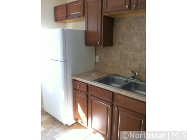 311 Morton St E, Saint Paul, MN 55107