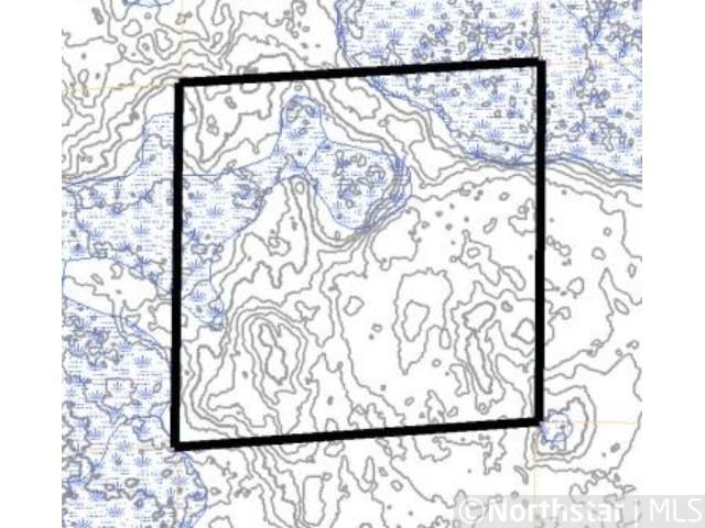 NESE Van Sickle Co Forest Rd #11, Emily, MN 56447