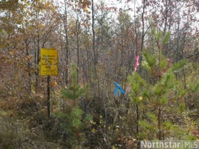 TBD 396th St, Menahga, MN 56464