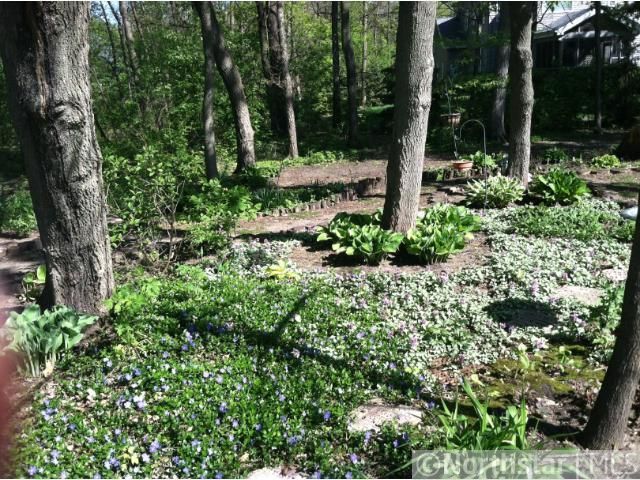 1304 Cannon Valley Dr, Northfield, MN 55057