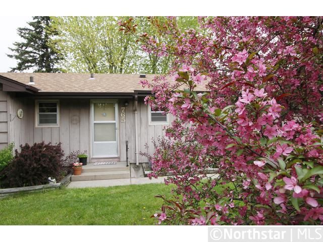 765 Creek Ave, Mendota Heights, MN 55120