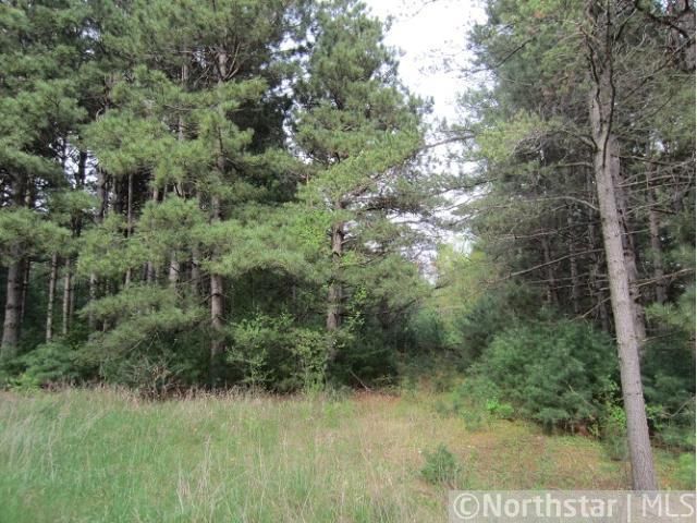 XXX 19th Ave NW, Rice, MN 56367