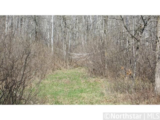 TBD 44th Ave, Backus, MN 56435