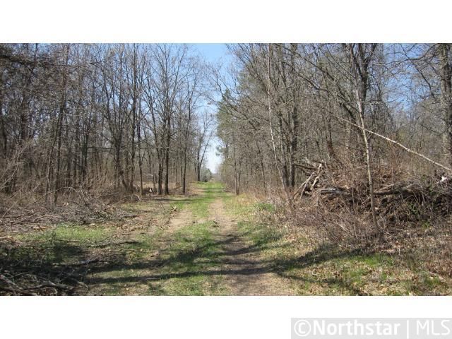TBD 44th Ave, Backus, MN 56435