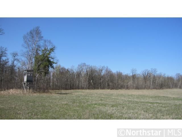 TBD 44th Ave, Backus, MN 56435