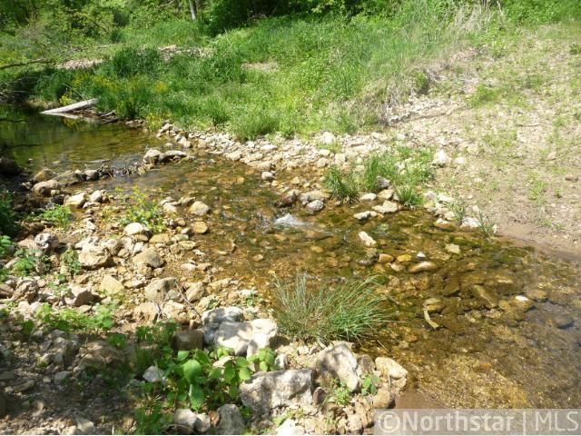 xxx Eitzen Creek Rd, Caledonia, MN 55921