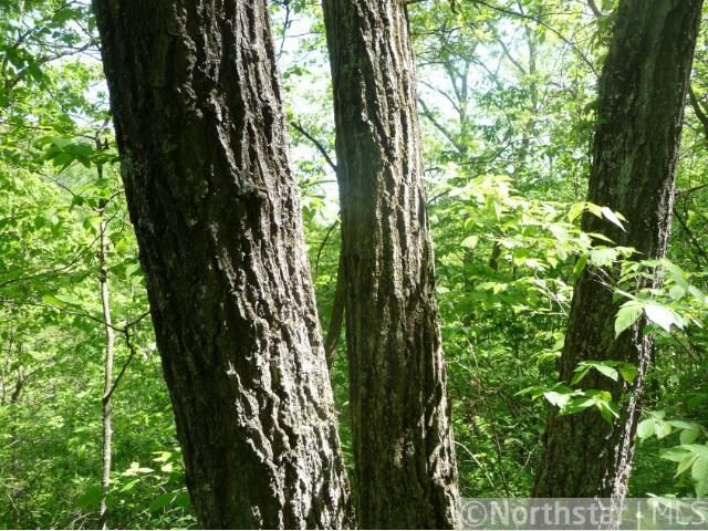 xxx Eitzen Creek Rd, Caledonia, MN 55921